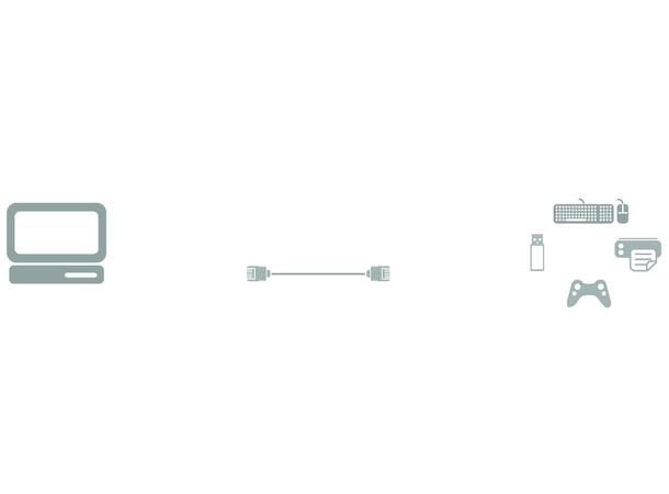 Icron USB-extender - Rover 1850 USB 1 - CAT- 40-80 meter 